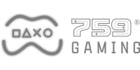 Logotipo do parceiro 40 da 9pgame